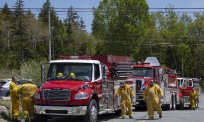 Wildfire prep: Halifax fire crews offer free tips on protecting your home - Halifax