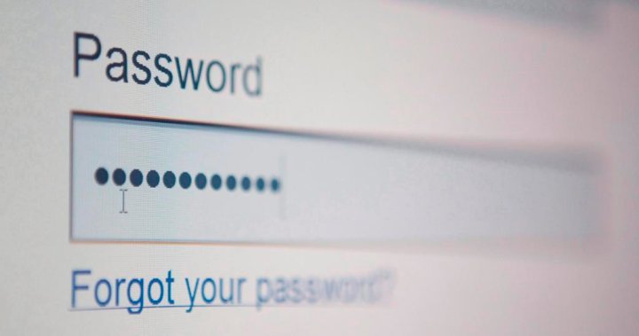 U.K. bans generic passwords over cybersecurity concerns. Should Canada be next? - National
