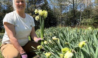 ‘Help farmers’: Quebec flower growers encourage buying local on Mother’s Day - Montreal