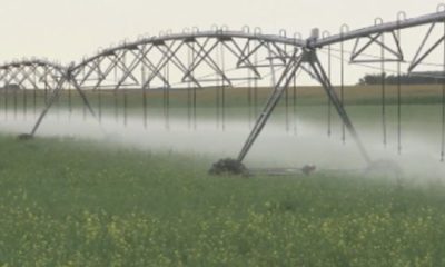 Alberta invests $19M for irrigation infrastructure upgrades - Lethbridge