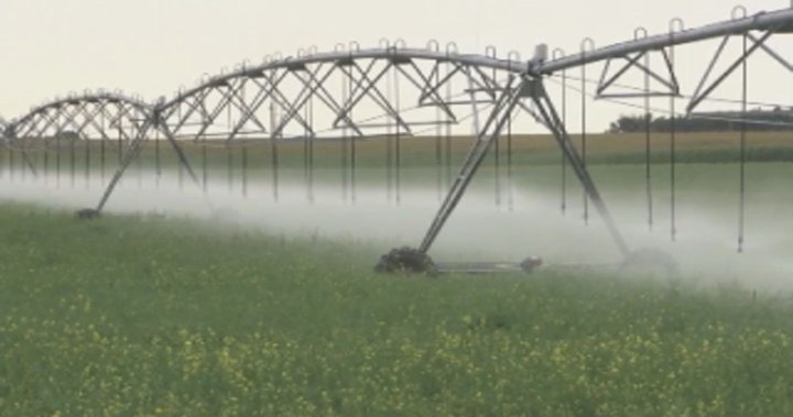 Alberta invests $19M for irrigation infrastructure upgrades - Lethbridge
